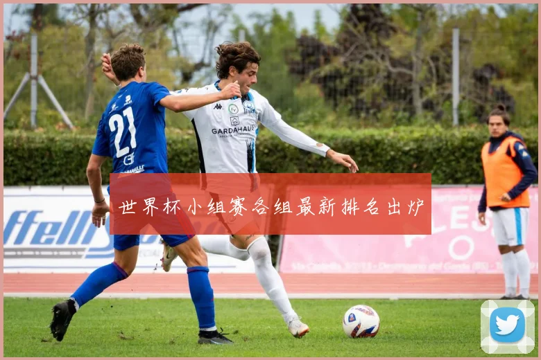 世界杯小组赛各组最新排名出炉