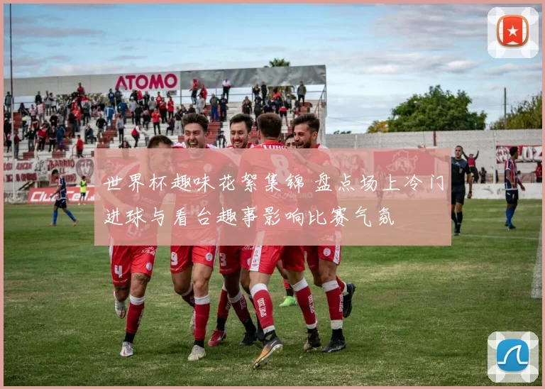 世界杯趣味花絮集锦 盘点场上冷门进球与看台趣事影响比赛气氛