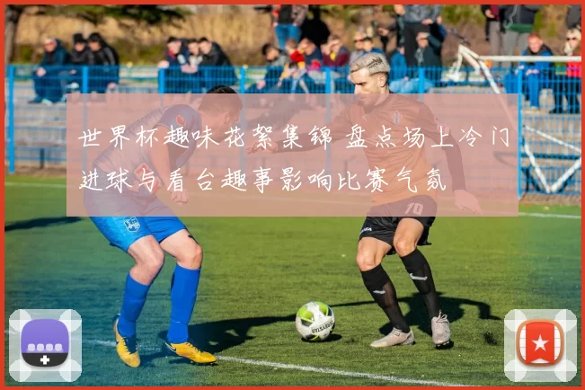 世界杯趣味花絮集锦 盘点场上冷门进球与看台趣事影响比赛气氛